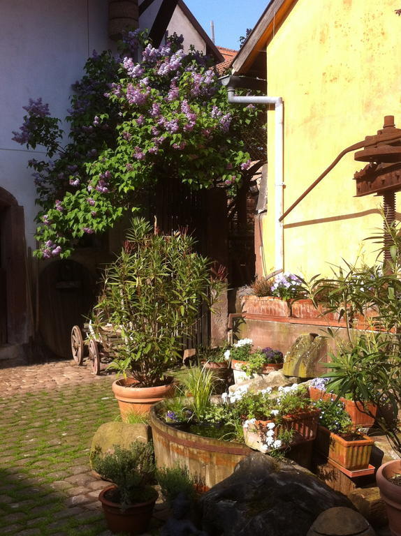 La Maison de Caroline Westhoffen Esterno foto